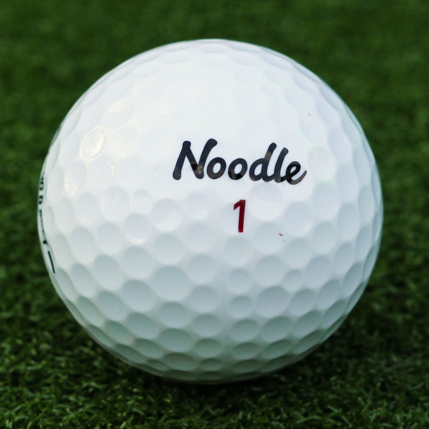 Noodle Assorted Bundle
