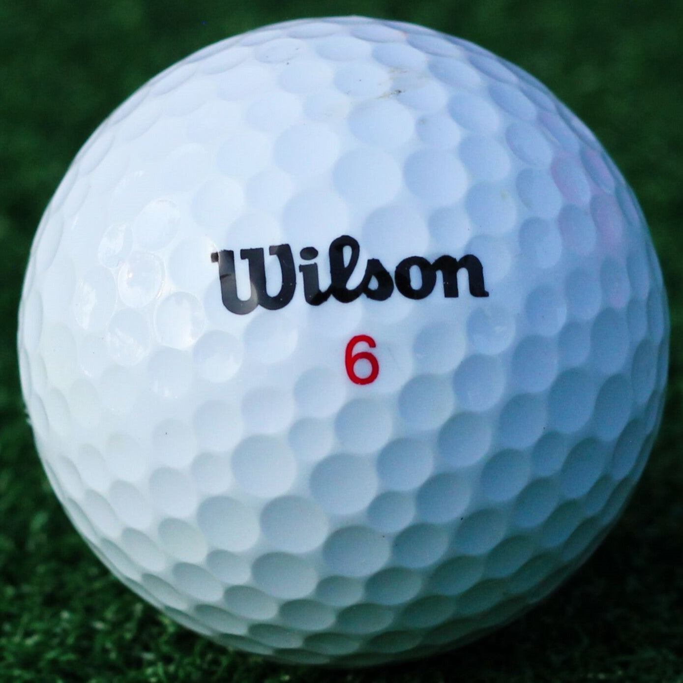 Wilson